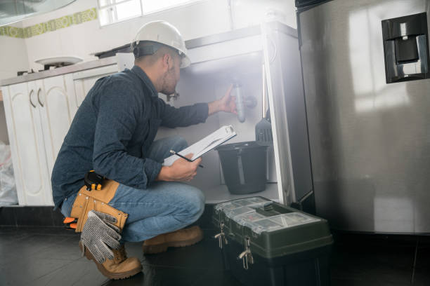 Best Plumbing Services Near Me  in Homewood, IL