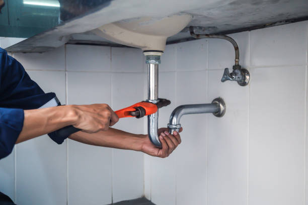 Best Clogged Drain Plumber  in Homewood, IL