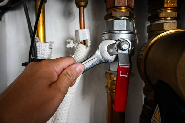 Best Residential Plumbing Services  in Homewood, IL